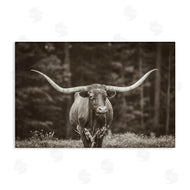 Nathan Larson | Longhorn Among Flowers