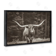 Nathan Larson | Longhorn Among Flowers