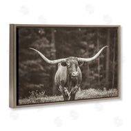 Nathan Larson | Longhorn Among Flowers