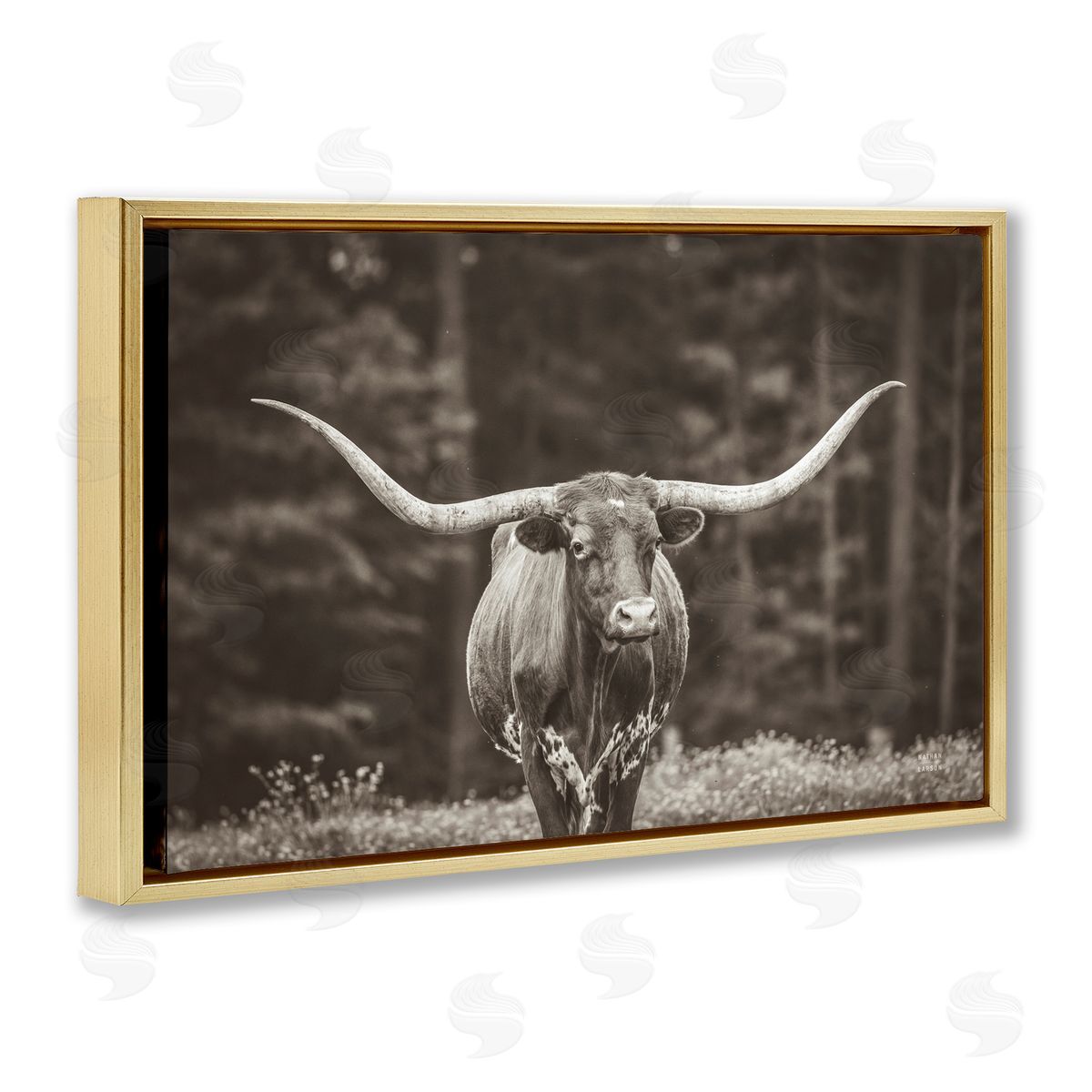 Longhorn Among Flowers Gold Floating Frame Canvas Wall Art, Home Decor by Nathan Larson