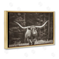 Nathan Larson | Longhorn Among Flowers