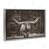 Nathan Larson | Longhorn Among Flowers