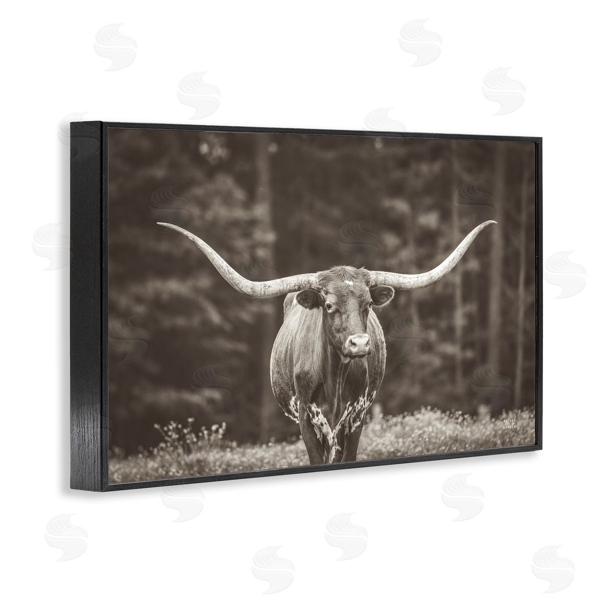 Longhorn Among Flowers Black Frame Print Wall Art, Home Decor by Nathan Larson