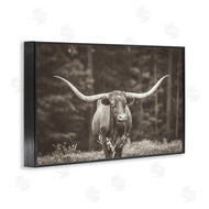 Nathan Larson | Longhorn Among Flowers
