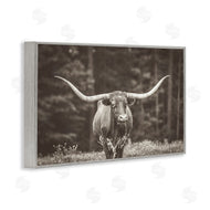 Nathan Larson | Longhorn Among Flowers