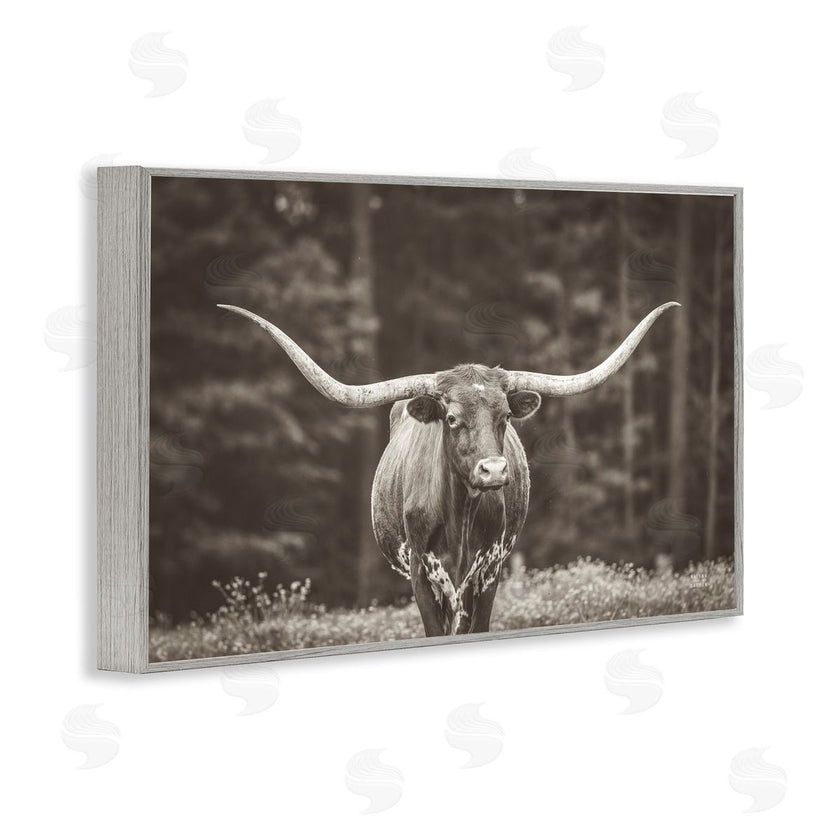 Nathan Larson | Longhorn Among Flowers