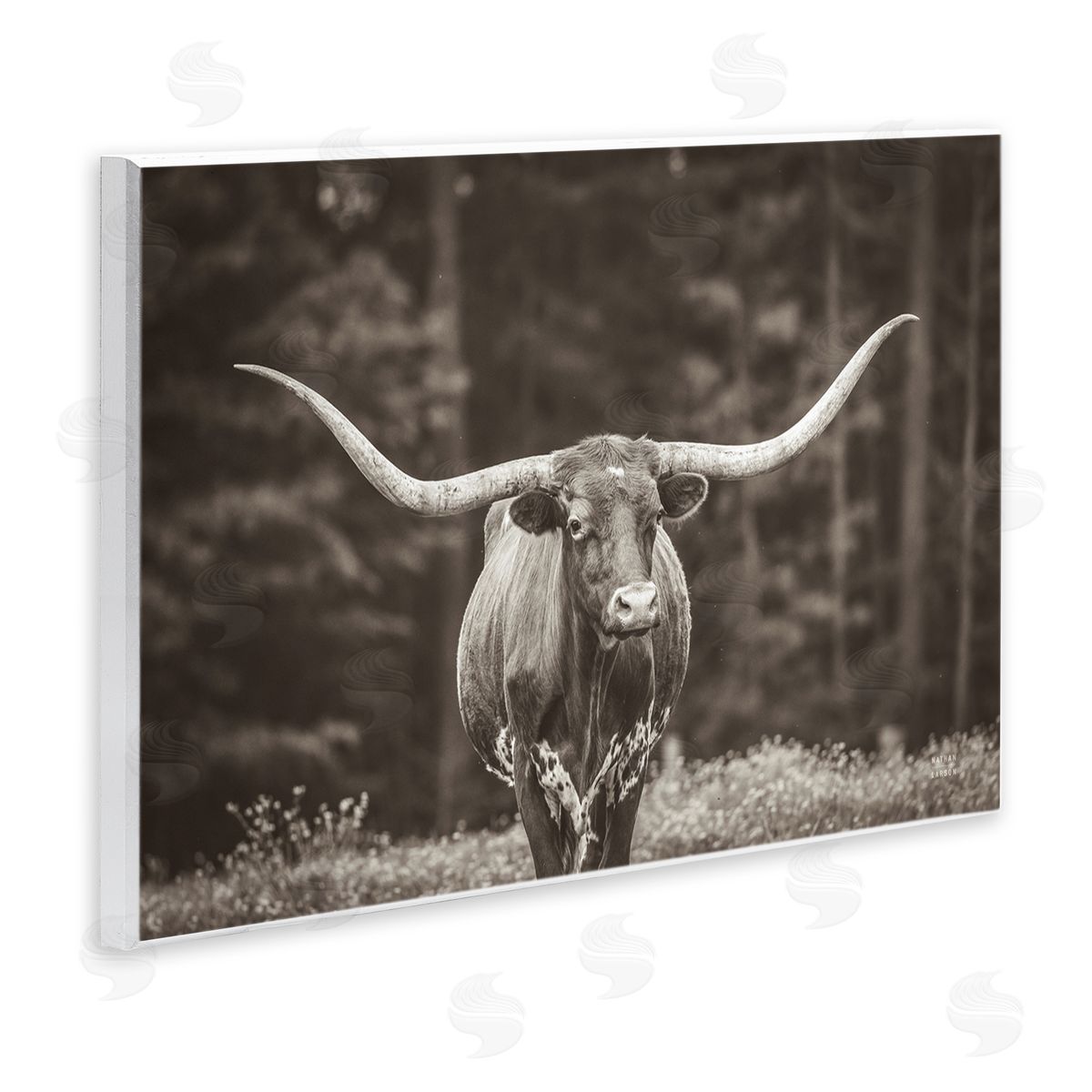 Longhorn Among Flowers Wood Plaque Wall Art, Home Decor by Nathan Larson