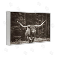 Nathan Larson | Longhorn Among Flowers