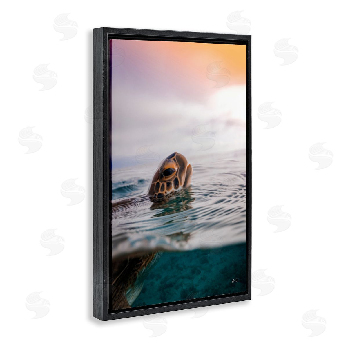 Turtle Swim at Sunrise Black Floating Frame Canvas Wall Art, Home Decor by Max Blakesberg Studios