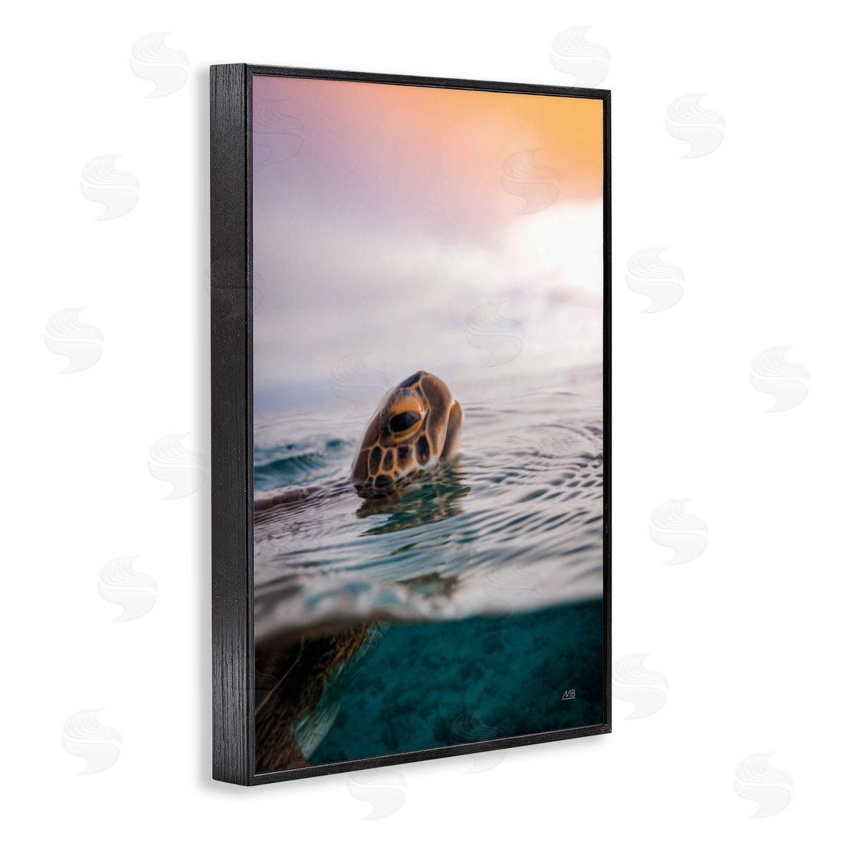 Turtle Swim at Sunrise Black Frame Print Wall Art, Home Decor by Max Blakesberg Studios