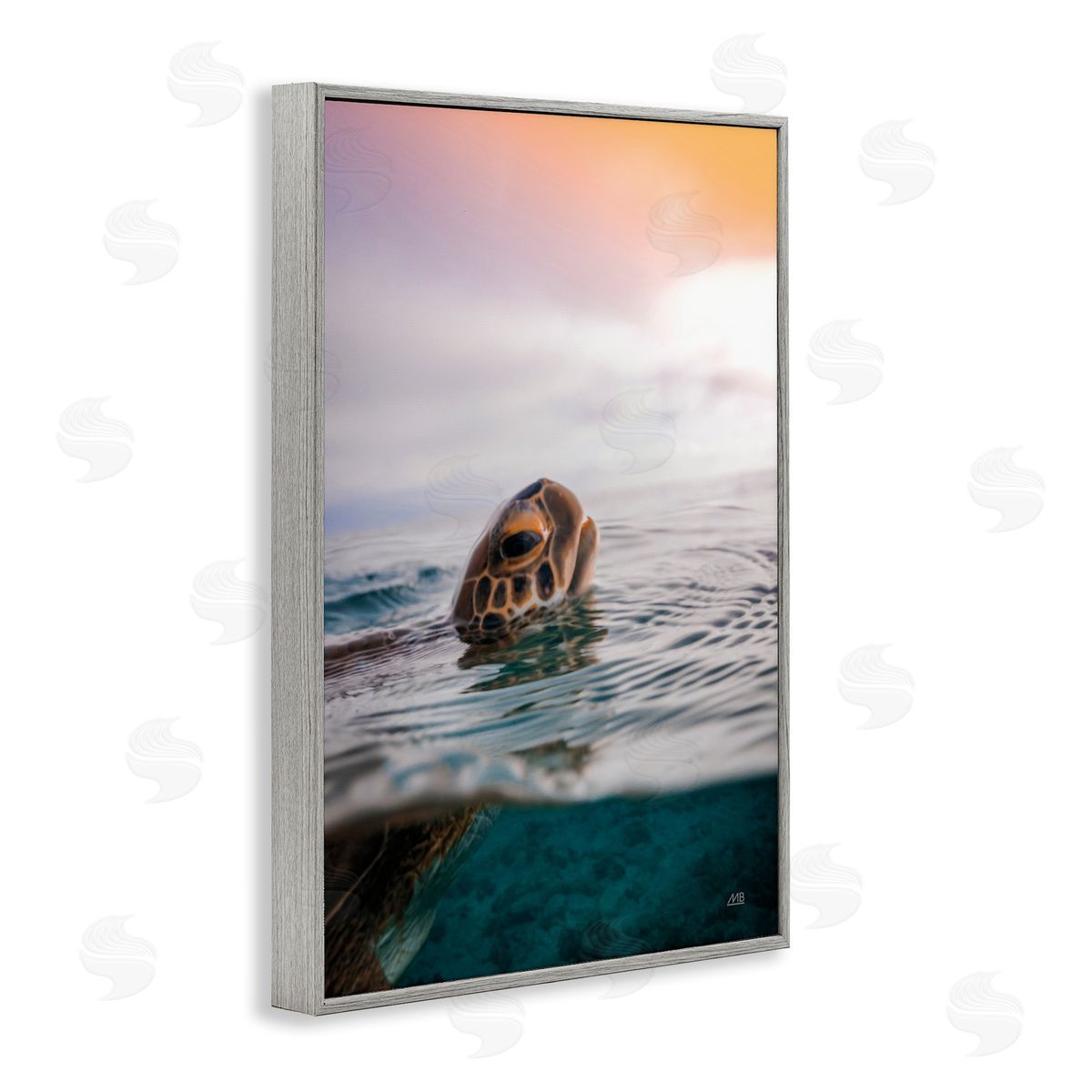 Turtle Swim at Sunrise Grey Frame Print Wall Art, Home Decor by Max Blakesberg Studios