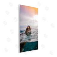 Max Blakesberg Studios | Turtle Swim at Sunrise