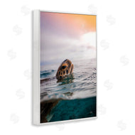 Max Blakesberg Studios | Turtle Swim at Sunrise