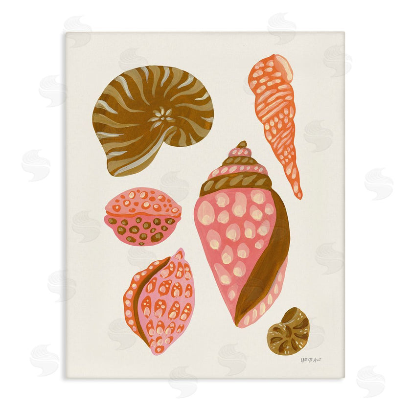 Yvette St. Amant | Tropical Shell Collection