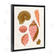 Yvette St. Amant | Tropical Shell Collection