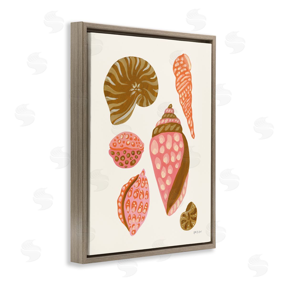Tropical Shell Collection Brown Floating Frame Canvas Wall Art, Home Decor by Yvette St. Amant