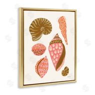 Yvette St. Amant | Tropical Shell Collection