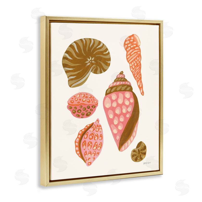 Yvette St. Amant | Tropical Shell Collection