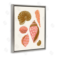Yvette St. Amant | Tropical Shell Collection