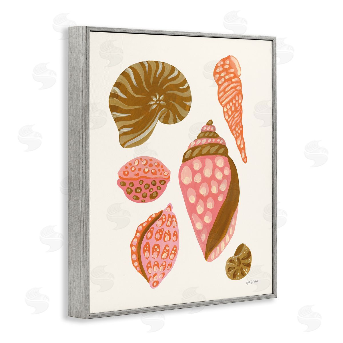 Tropical Shell Collection Grey Frame Print Wall Art, Home Decor by Yvette St. Amant