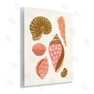 Yvette St. Amant | Tropical Shell Collection