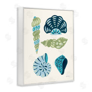Yvette St. Amant | Blue Shell Collection