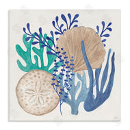 Veronique Charron | Coastal Sea Life