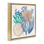 Veronique Charron | Coastal Sea Life