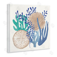Veronique Charron | Coastal Sea Life