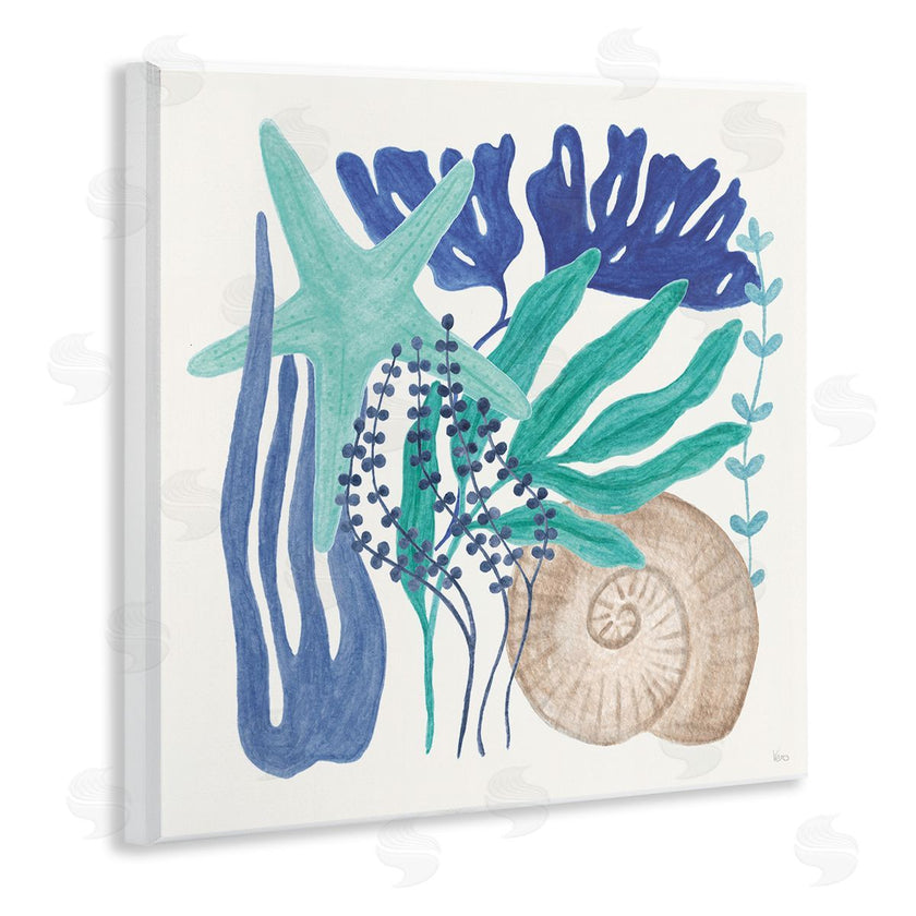 Veronique Charron | Layered Coastal Shells