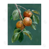 Danhui Nai | Autumn Harvest Fruits