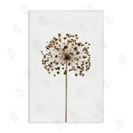 Deborah Revell | Minimal Allium Bud