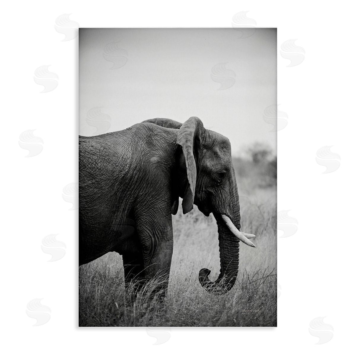 Side Profile Elephant Canvas Wall Art, Home Decor by Sharon Vardy