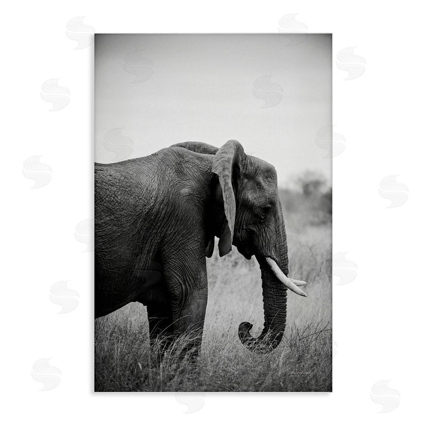 Sharon Vardy | Side Profile Elephant