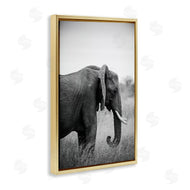 Sharon Vardy | Side Profile Elephant