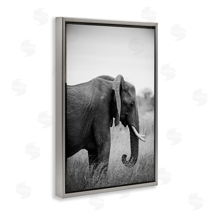 Sharon Vardy | Side Profile Elephant