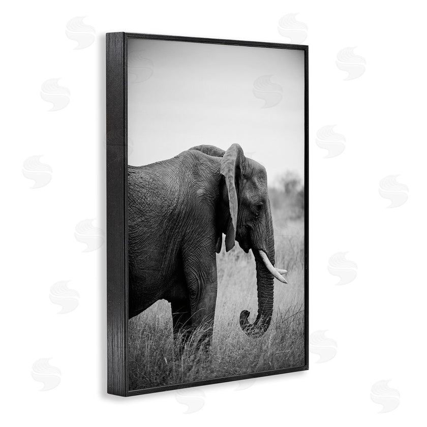 Sharon Vardy | Side Profile Elephant