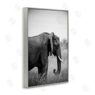 Sharon Vardy | Side Profile Elephant