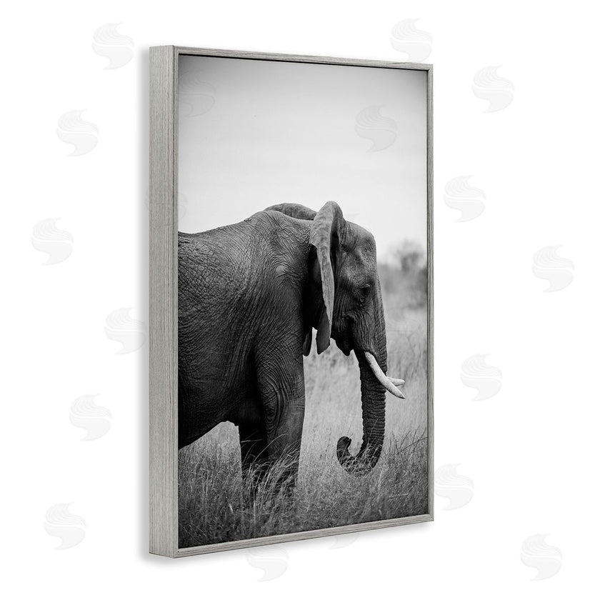 Sharon Vardy | Side Profile Elephant