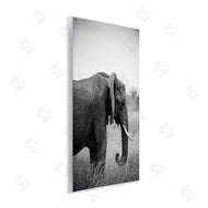 Sharon Vardy | Side Profile Elephant