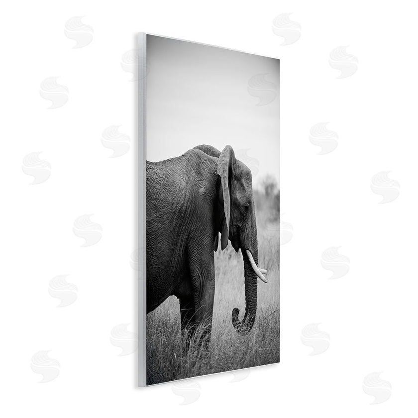 Sharon Vardy | Side Profile Elephant