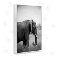 Sharon Vardy | Side Profile Elephant