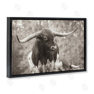 Nathan Larson | Longhorn's Gaze Photography