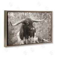 Nathan Larson | Longhorn's Gaze Photography