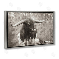 Nathan Larson | Longhorn's Gaze Photography