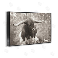 Nathan Larson | Longhorn's Gaze Photography