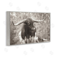 Nathan Larson | Longhorn's Gaze Photography