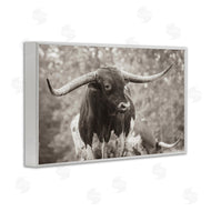 Nathan Larson | Longhorn's Gaze Photography