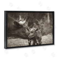 Nathan Larson | Longhorn Kiss Photography