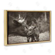 Nathan Larson | Longhorn Kiss Photography